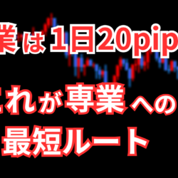 FXのデイトレで1日20pips取れれば専業になれるレベル! 3